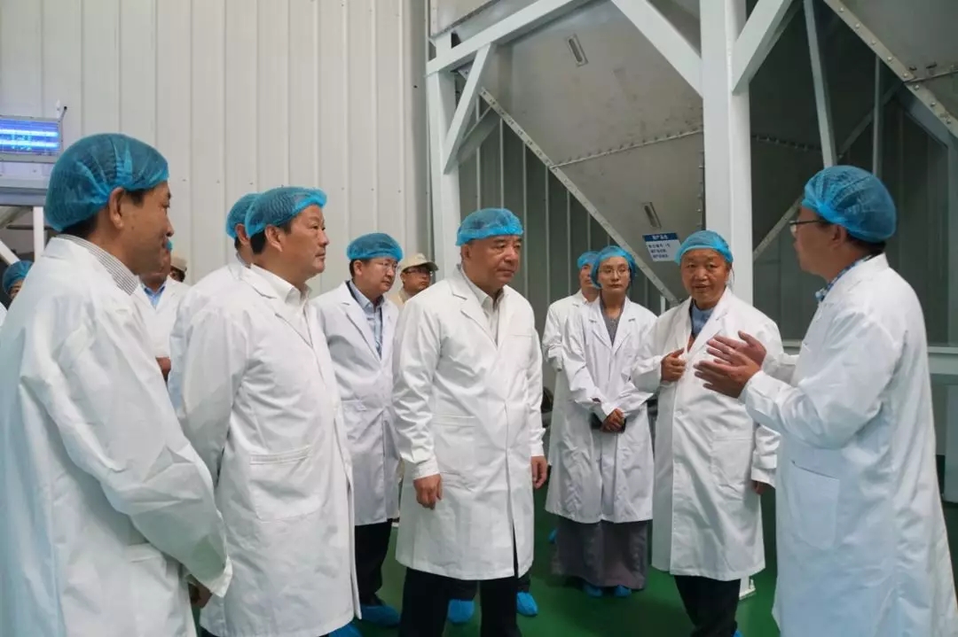 大宝娱乐-LG游戏|PT游戏|CQ9游戏