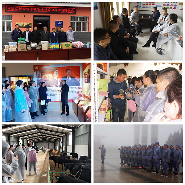 大宝娱乐-LG游戏|PT游戏|CQ9游戏