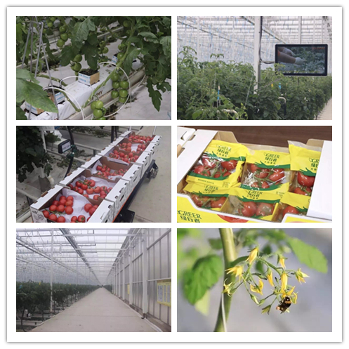 大宝娱乐-LG游戏|PT游戏|CQ9游戏