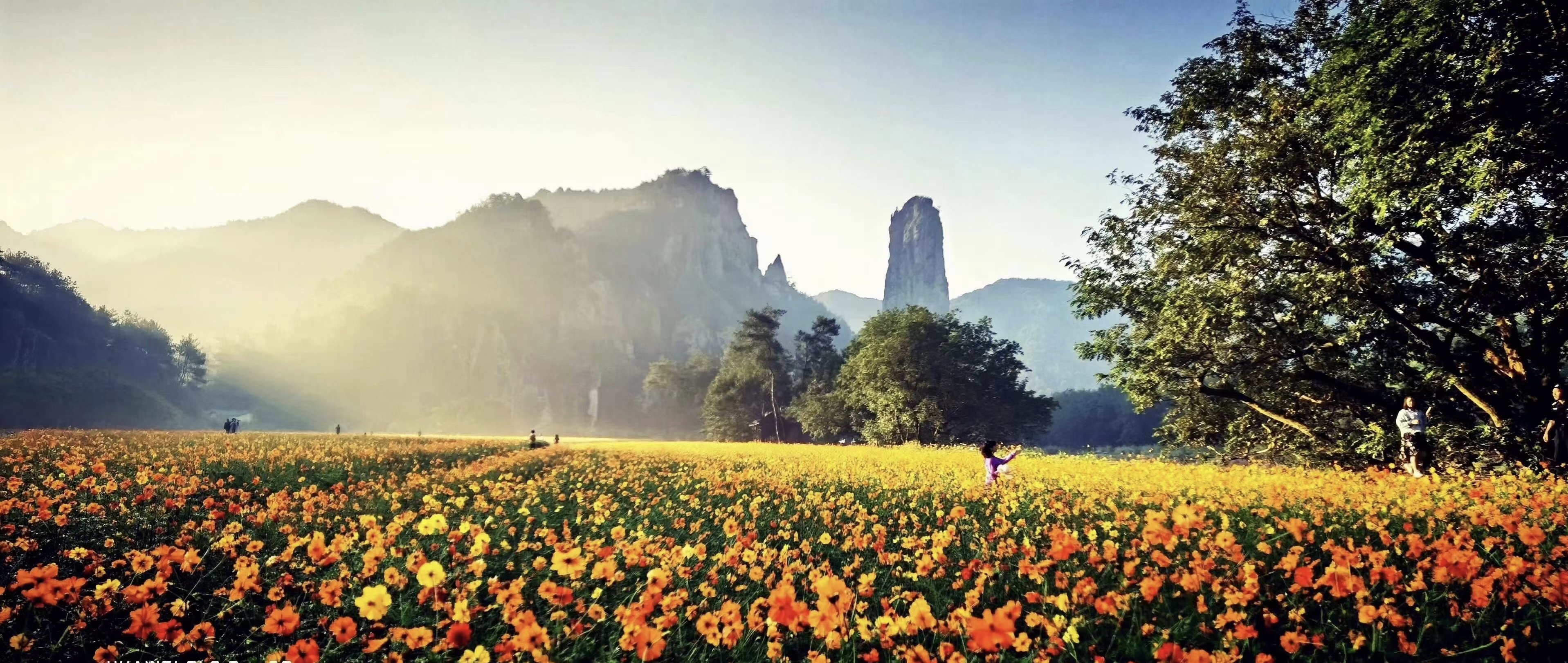 大宝娱乐-LG游戏|PT游戏|CQ9游戏