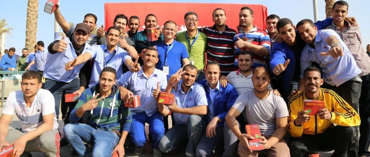 “善用资源日”境外预热 | 巨石埃及公司“云开放” ，带你看“一带一起”璀璨明珠