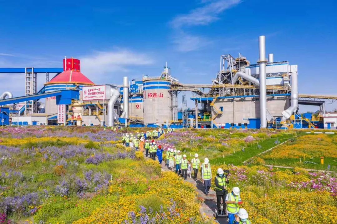 走进“善用资源日”开放企业，来大宝娱乐花海工厂打卡吧！